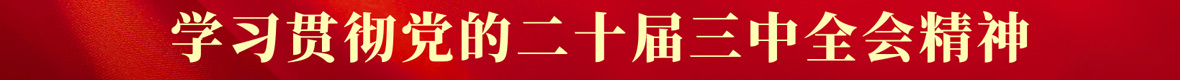 學習貫徹黨的二十屆三中全會精神